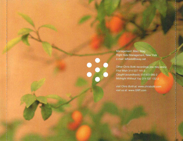 Chris Botti : Slowing Down The World (CD, Album)