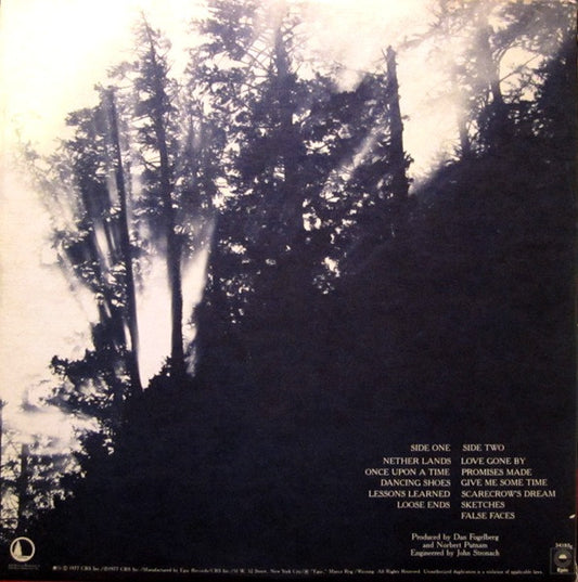 Dan Fogelberg - Nether Lands vinyl record, LP (Near Mint (NM or M-)) | Lulo Records
