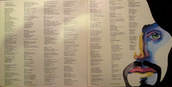 Dan Fogelberg : Nether Lands (LP, Album, Ter)