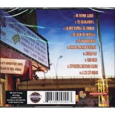 George Delgado Featuring Julio Salgado : Mi Ritmo Llego (CD, Album)