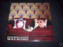 Pocket Size : Walking (2x12")