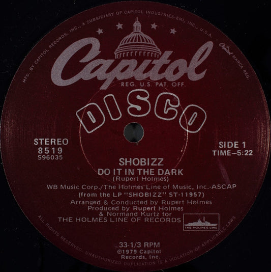 Shobizz : Do It In The Dark / We Are A Music Machine (12")