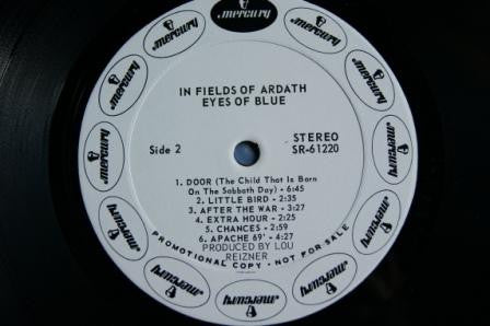 Eyes Of Blue - In Fields Of Ardath vinyl record, LP (Very Good Plus (VG+)) | Lulo Records