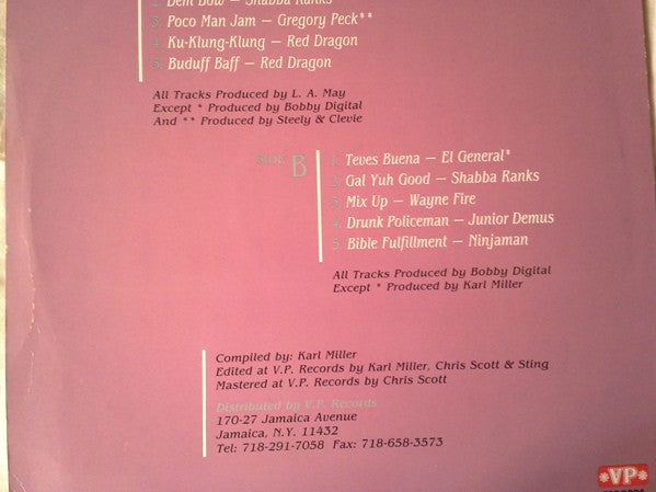 Various : Reggae House Music Vol. 3 (LP, Comp, Mixed)