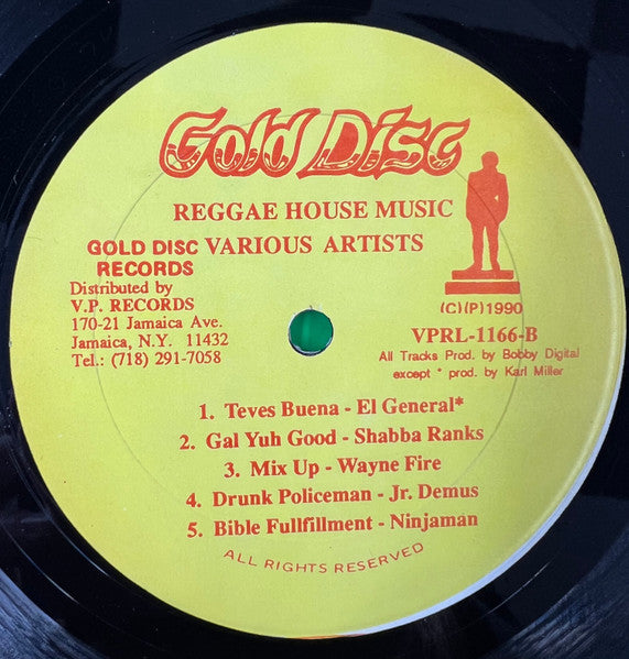 Various : Reggae House Music Vol. 3 (LP, Comp, Mixed)