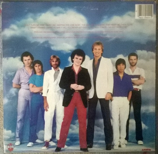 Air Supply - The One That You Love vinyl record, LP (Very Good Plus (VG+)) | Lulo Records