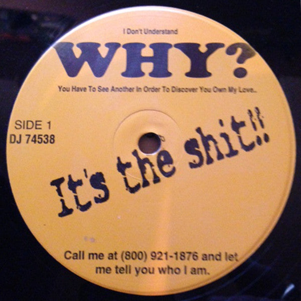 Stefanie Bolton : Why? (12", Promo)