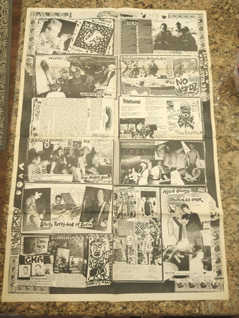 Various : Flipside Vinyl Fanzine Vol 2 (LP, Comp)