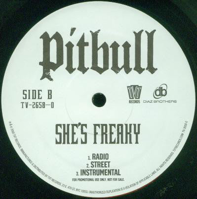Pitbull : 305 Anthem / She's Freaky (12", Promo)