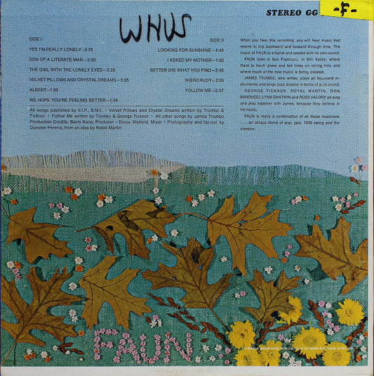 Faun - Faun vinyl record, LP (Very Good Plus (VG+)) | Lulo Records