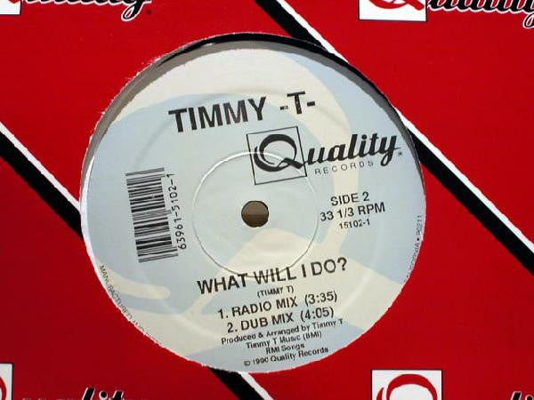 Timmy T : What Will I Do? (12")
