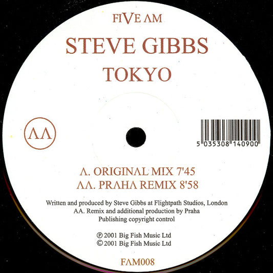 Steve Gibbs - Tokyo vinyl record, 12" (Very Good Plus (VG+)) | Lulo Records