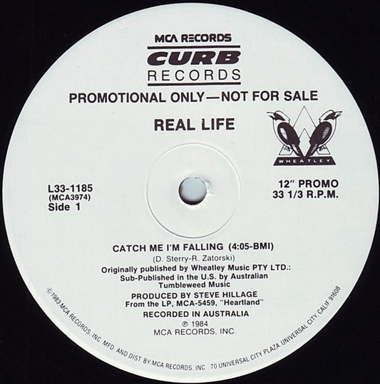 Real Life : Catch Me I'm Falling (12", Promo)