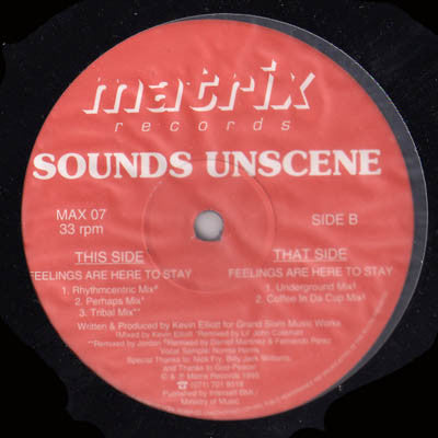Sounds Unscene : Feelings Are Here To Stay (12")