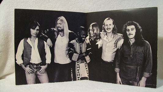 The Allman Brothers Band - Enlightened Rogues vinyl record, LP (Near Mint (NM or M-)) | Lulo Records