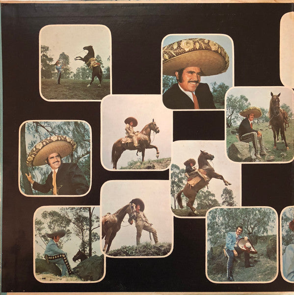 Vicente Fernandez : El Idolo De México (LP, Album, Gat)