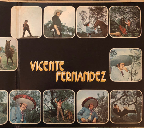 Vicente Fernandez : El Idolo De México (LP, Album, Gat)