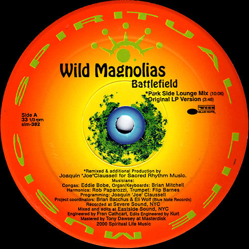 The Wild Magnolias : Battlefield (12")