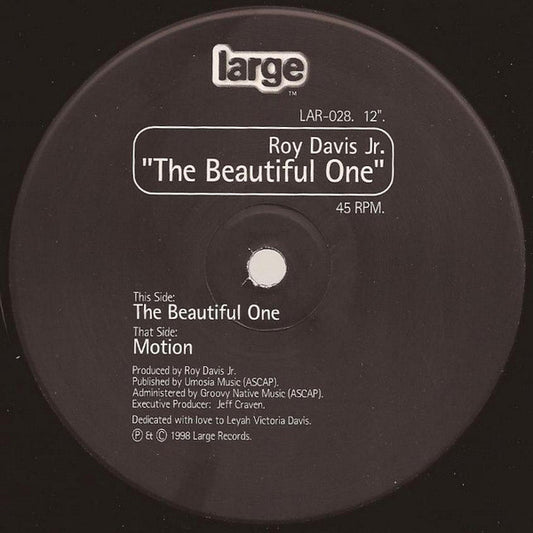 Roy Davis Jr. : The Beautiful One (12")