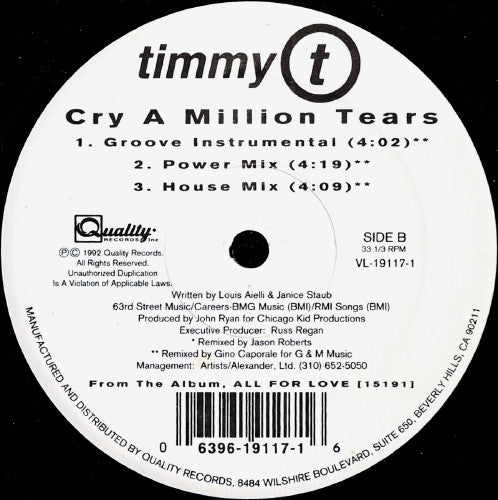 Timmy T - Cry A Million Tears vinyl record, 12" (Mint (M)) | Lulo Records