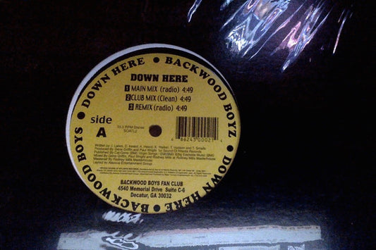 Backwood Boys : Down Here (12")