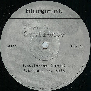 Oliver Ho : Sentience (2x12", Album)
