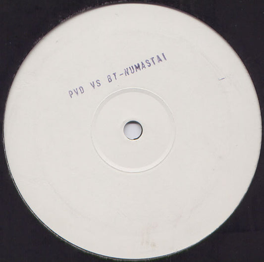 BT & Paul van Dyk : Namastai (12", Unofficial)
