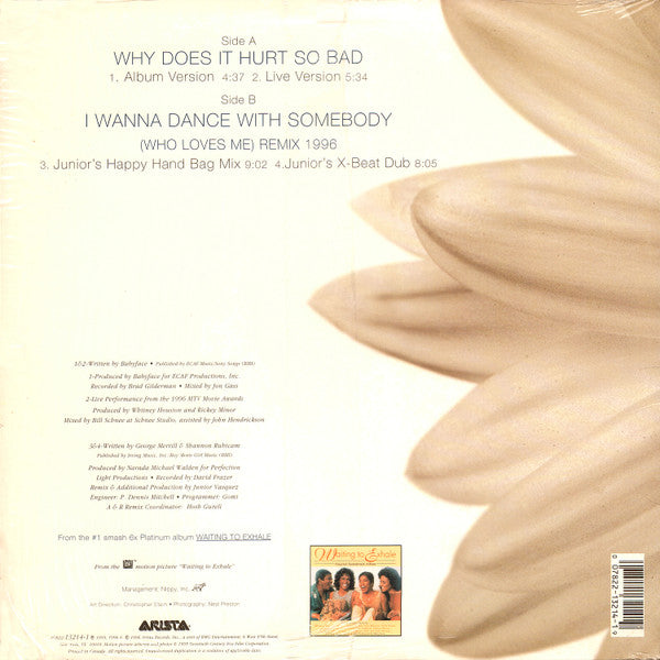 Whitney Houston : Why Does It Hurt So Bad And I Wanna Dance With Somebody (Who Loves Me) Remix 1996 (12", Single)