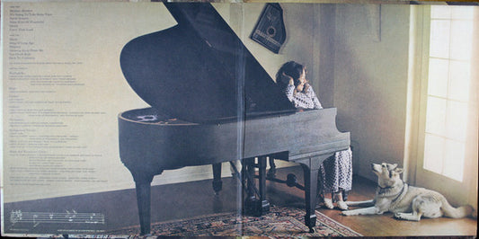 Carole King - Music vinyl record, LP (Near Mint (NM or M-)) | Lulo Records