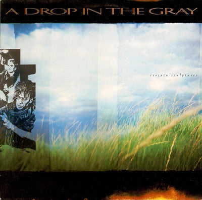 A Drop In The Gray : Certain Sculptures (LP, Album)