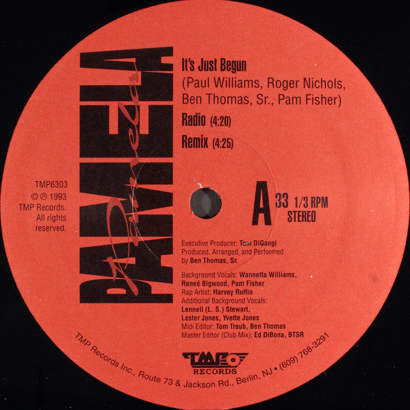 Pamela Fisher : It's Just Begun (12")