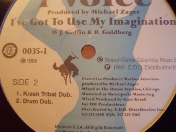NFE Entertainment Presents 1 Voice : I've Got To Use My Imagination (12")