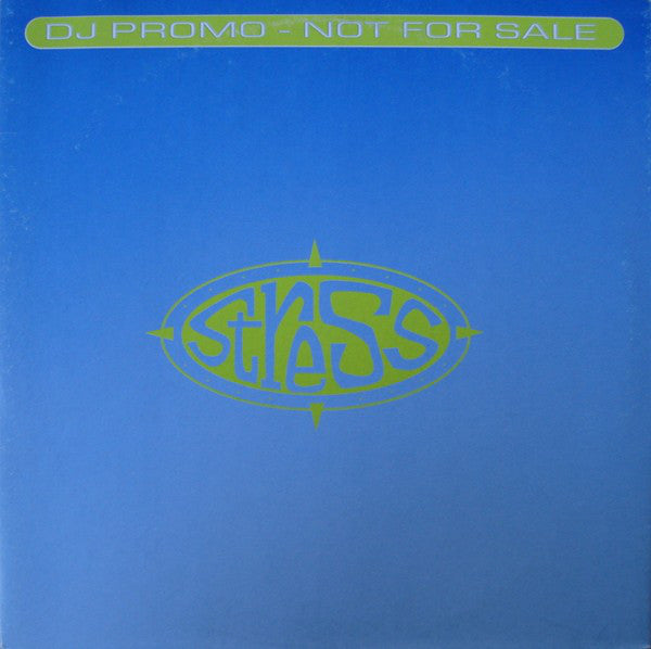 Chameleon (2) : The Way It Is (12", Promo)