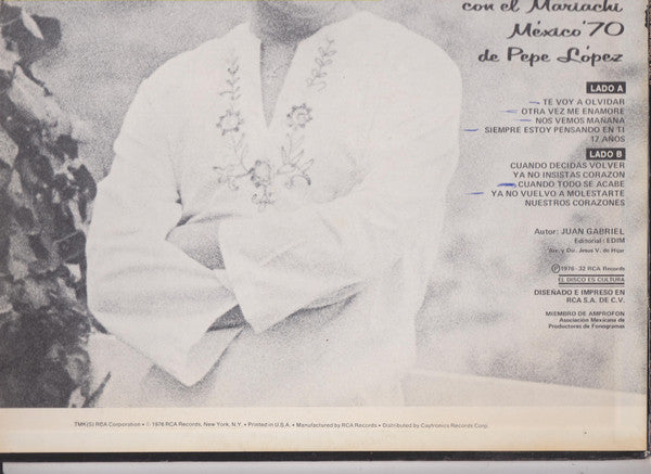 Juan Gabriel : Juan Gabriel Con Mariachi Vol. II (LP, Album)