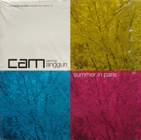 Cam* Starring Anggun : Summer In Paris (12")