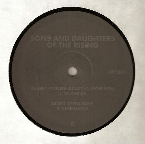 Various : Sons And Daughters Of The Rising (4xLP, Comp)