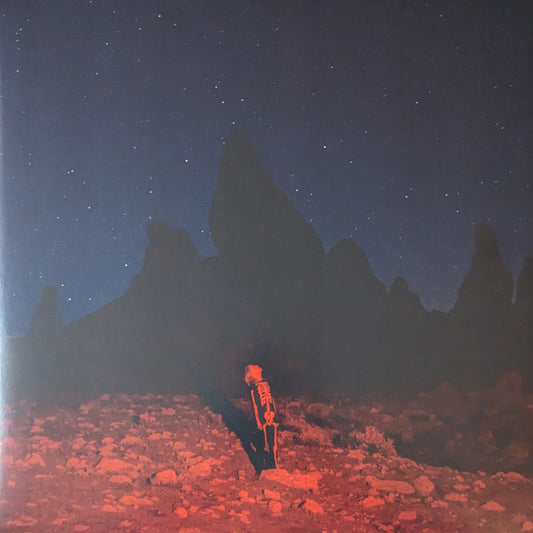 Phoebe Bridgers - Punisher